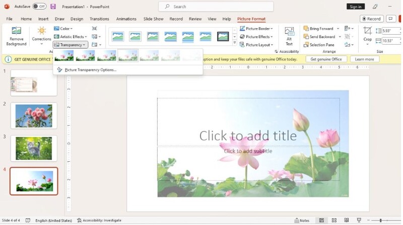 cách điều chỉnh độ mờ ảnh trong powerpoint