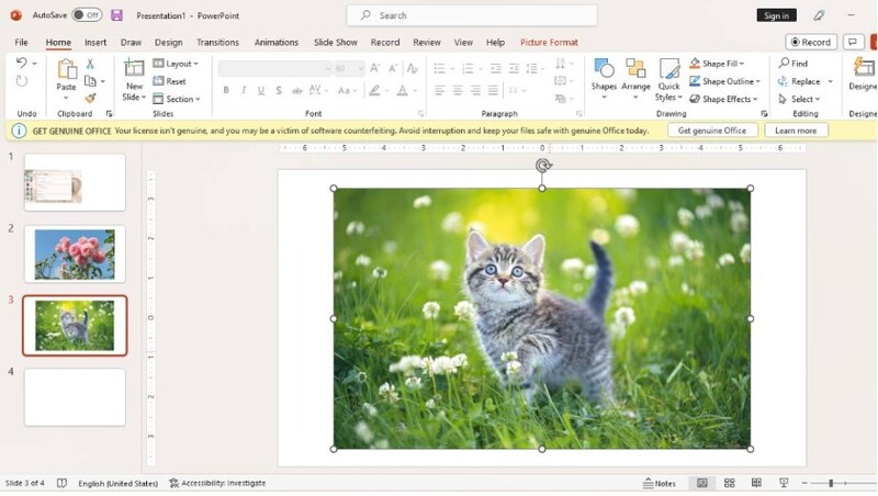 cách điều chỉnh độ mờ ảnh trong powerpoint