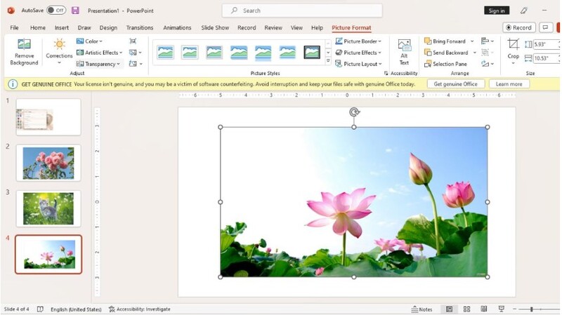 cách điều chỉnh độ mờ ảnh trong powerpoint